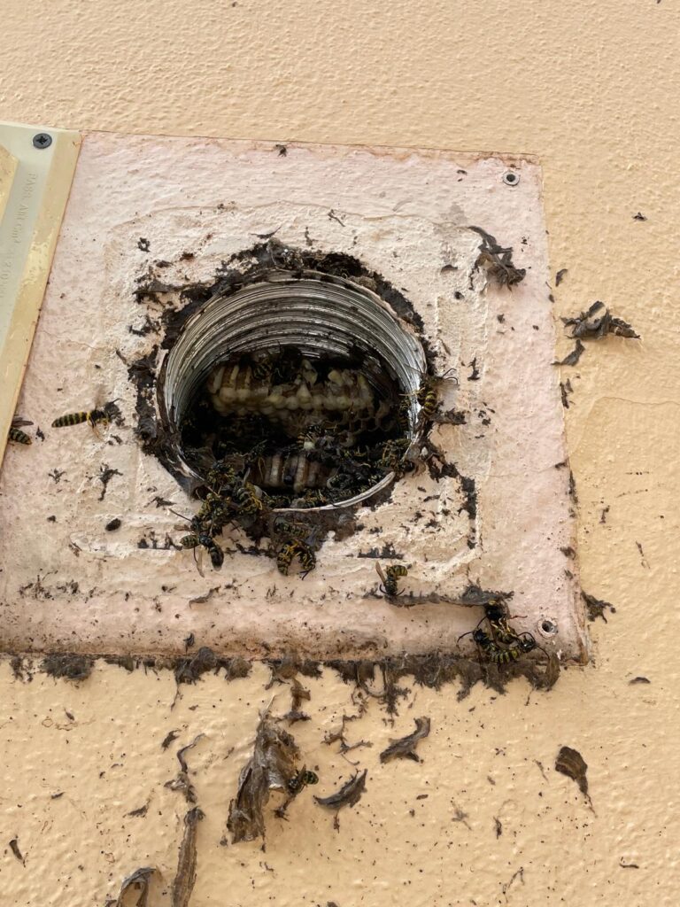 19a69e0c-f77b-4818-94f5-f33a574efbcb