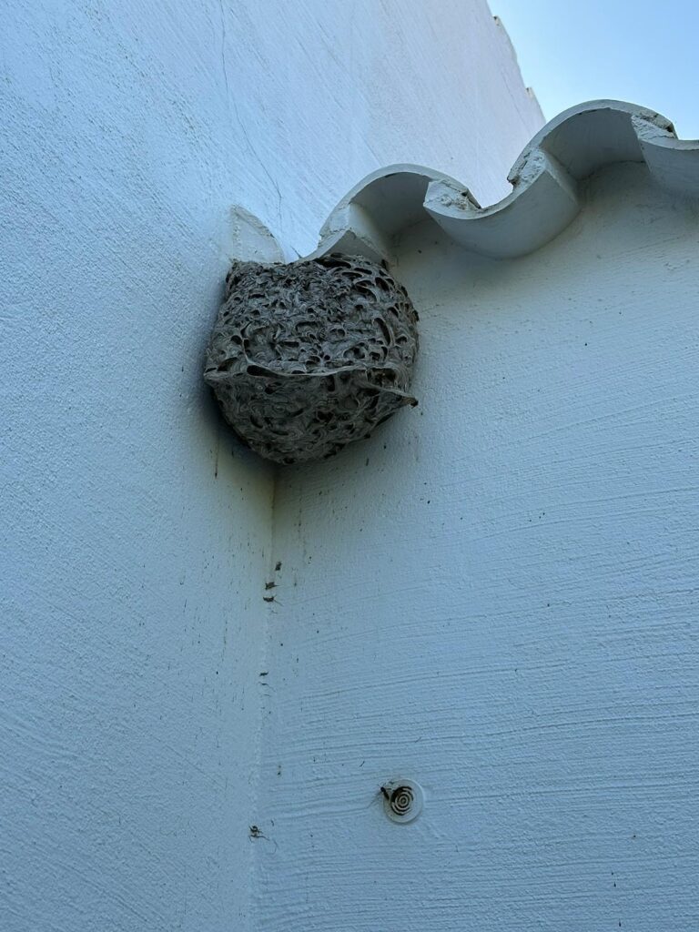 825a2fef-bdea-4238-8ed3-fb6fbbcbf66d