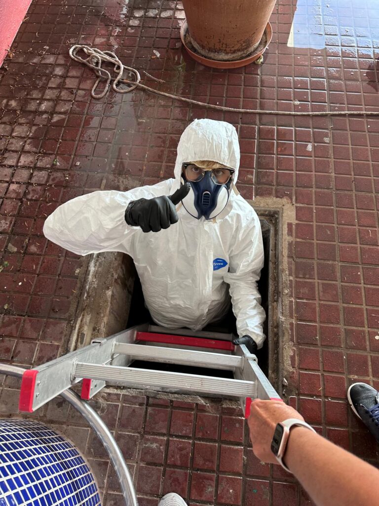 Servicios AJN Plagas Menorca