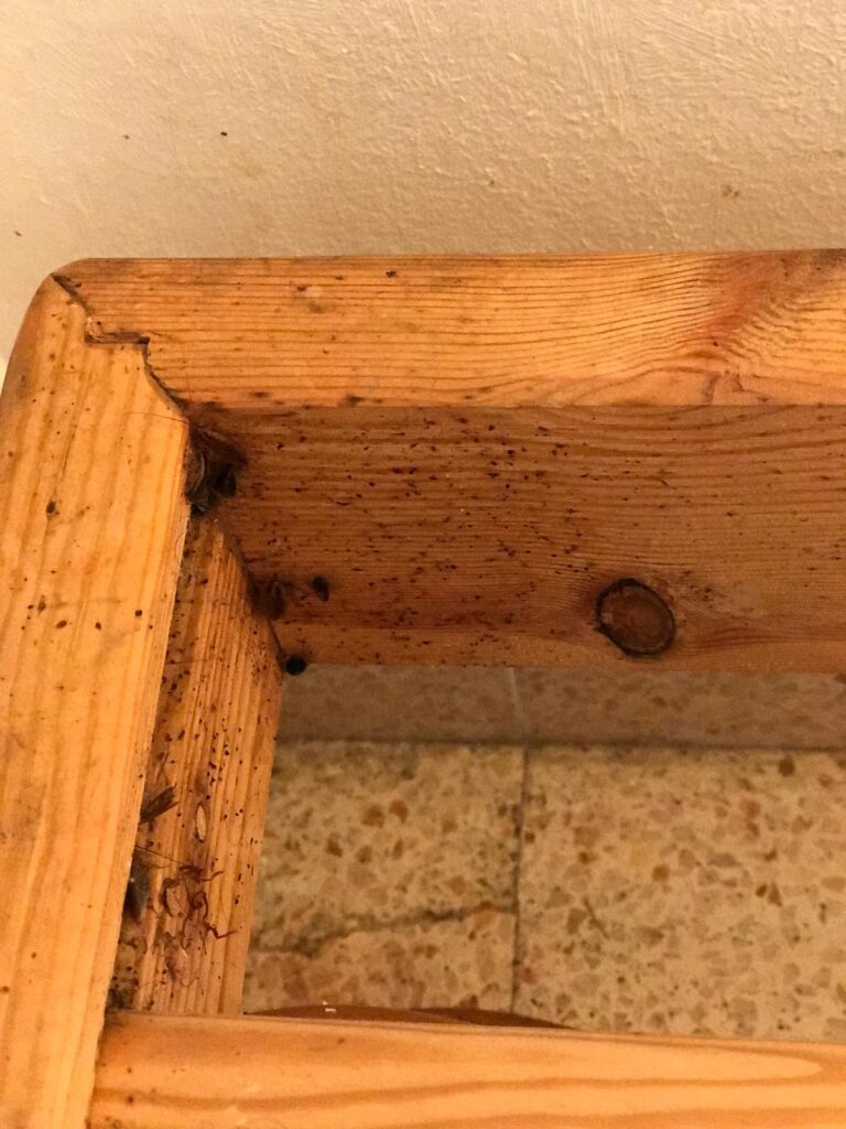 Tratamiento de Madera AJN Plagas