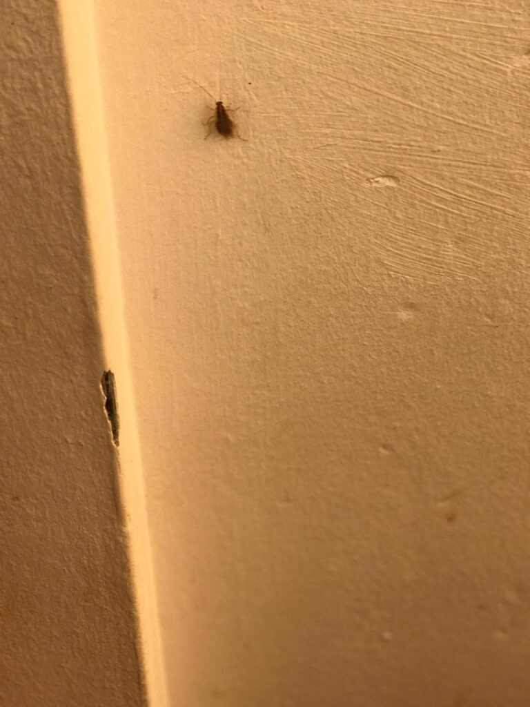 WhatsApp Image 2026-01-15 at 09.27.39 (1)